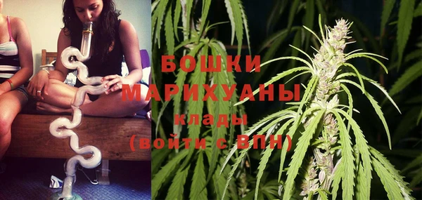 бошки Ельня