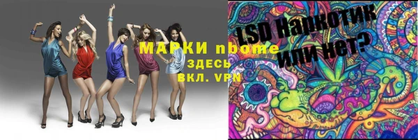 тгк Дмитров