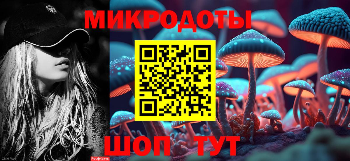 Зеленокумск  Галлюциногенные грибы Psilocybine cubensis  Вход с VPN 
