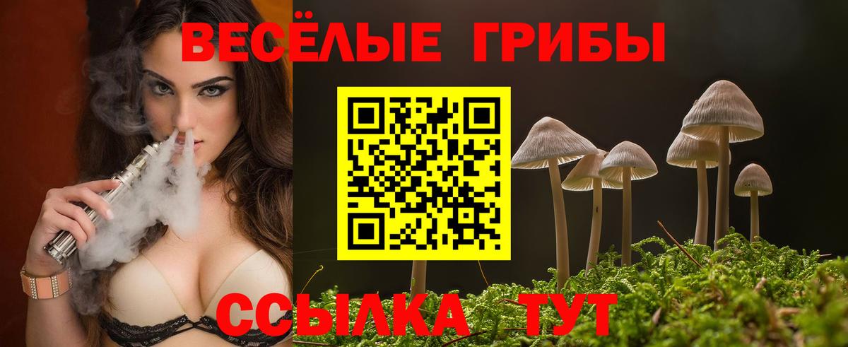 Псилоцибиновые грибы мухоморы Зеленокумск